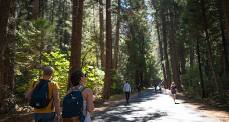 Senderismo en el Parque Nacional de Yosemite - Intrepid Travel 7