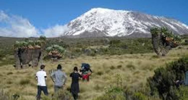 Le plus haut sommet du Kilimandjaro : excursion d'une journée à Marangu - Kilingeadventures 1