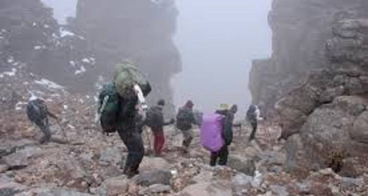 Le plus haut sommet du Kilimandjaro : excursion d'une journée à Marangu - Kilingeadventures 3