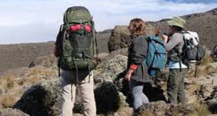 Le plus haut sommet du Kilimandjaro : excursion d'une journée à Marangu - Kilingeadventures 4