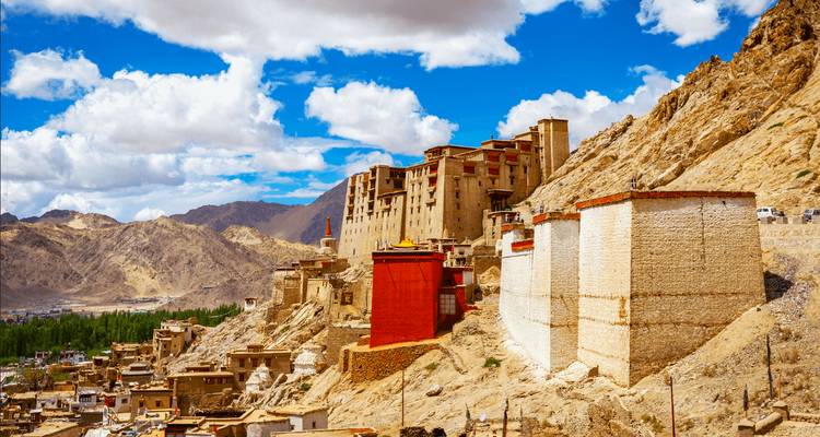 Découvrez le mini Tibet à Leh - Ladakkh avec des nuits étoilées à Hanle - 15 jours - TTI TOURS 8