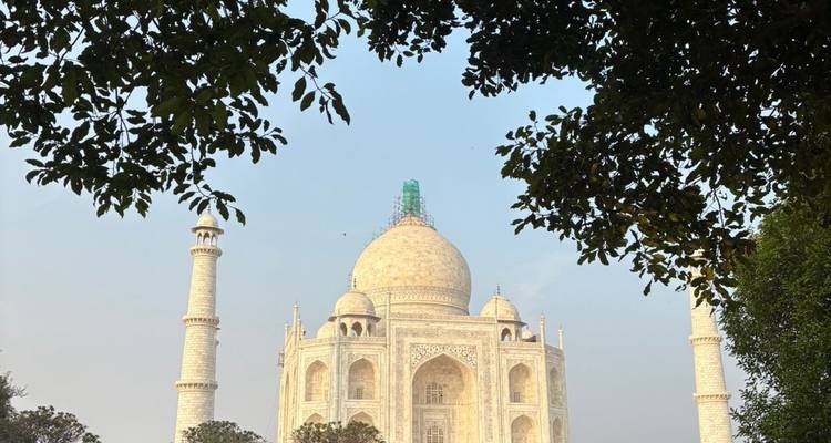 De koepels van de Taj Mahal gluren door boomtakken, met steigers bovenop de hoofdspits.