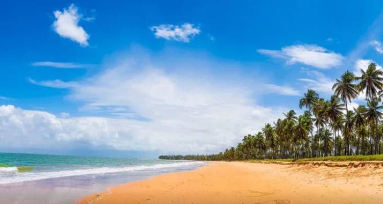 Brésil - Sable, mer et soleil - Recife, Porto de Galinhas, Maragogi, Maceio - 9 jours - Receptivo Aborigen Tours 4