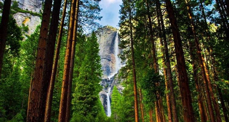 Yosemite Highlights Tour - Incredible Adventures 4