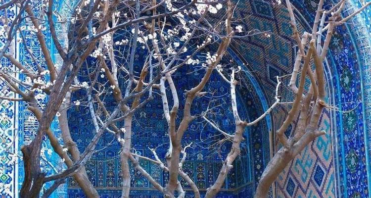 Tour along 3-stans of Central Asia 12 Days: Kazakhstan, Kyrgyzstan, and Uzbekistan - Silk Road Trips 9