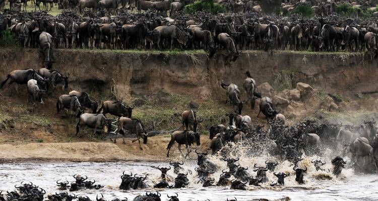 Safari de 4 días en avión de Zanzíbar a Serengeti y Ngorongoro - Lights on Africa Destinations & Safaris 3