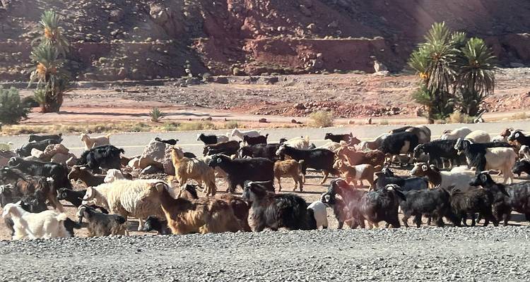 7 jours au Maroc avec départ de Casablanca - Morocco Travel 2