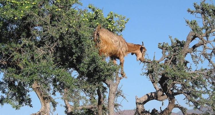 7 jours au Maroc avec départ de Casablanca - Morocco Travel 4