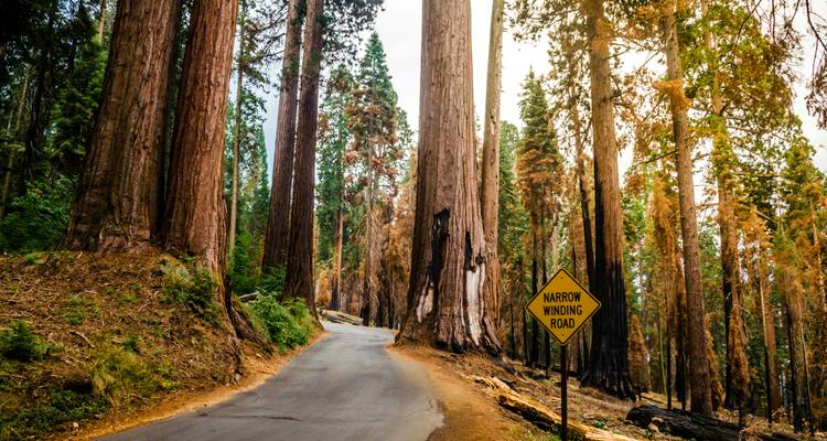 Recorrido por los Parques más Destacados de California: De San Francisco a Los Ángeles - Incredible Adventures 1