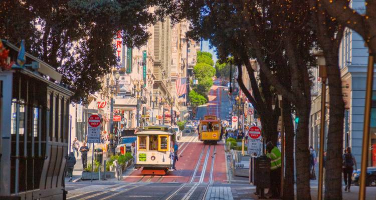 Recorrido por los Parques más Destacados de California: De San Francisco a Los Ángeles - Incredible Adventures 3