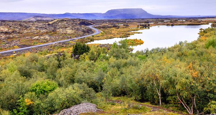 A calm lake surrounded by lush landscapes and a distant mountain.