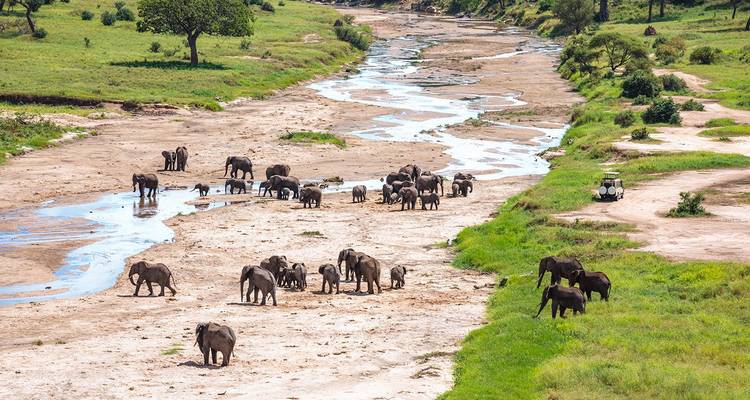 Safari de 11 jours au cœur de la Tanzanie et de Zanzibar - Lights on Africa Destinations & Safaris 9