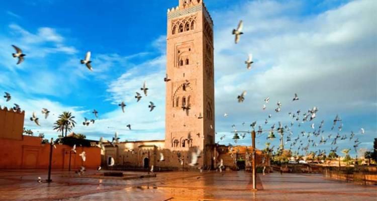 15-Days The Best of Morocco Desert & Imperial Cities - Tilila Trips 2