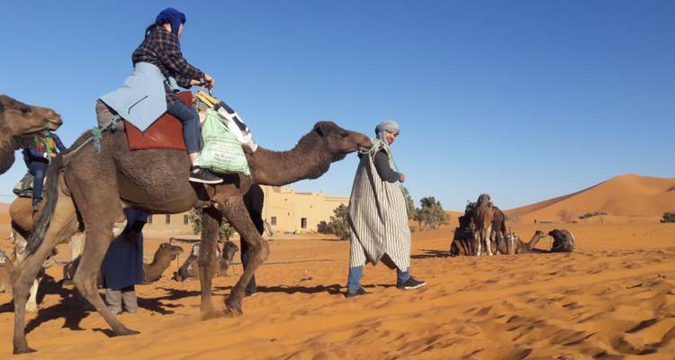 15-Days The Best of Morocco Desert & Imperial Cities - Tilila Trips 4