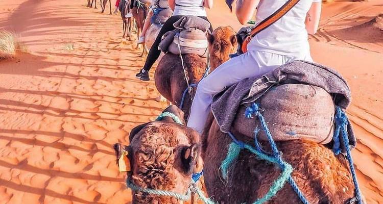 15-Days The Best of Morocco Desert & Imperial Cities - Tilila Trips 8