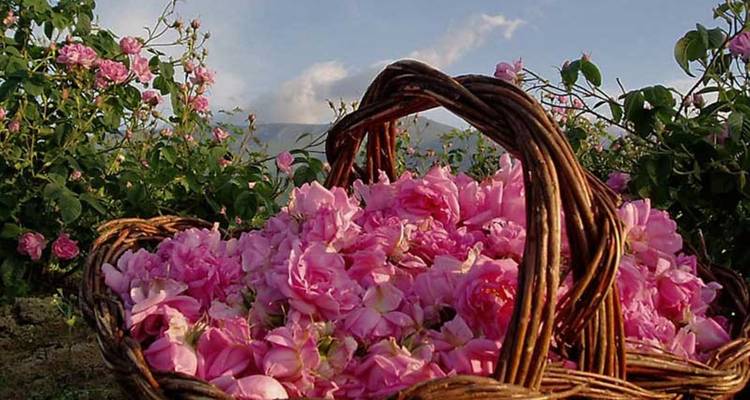 Morocco 17 Days Tour From Casablanca - Tilila Trips 1