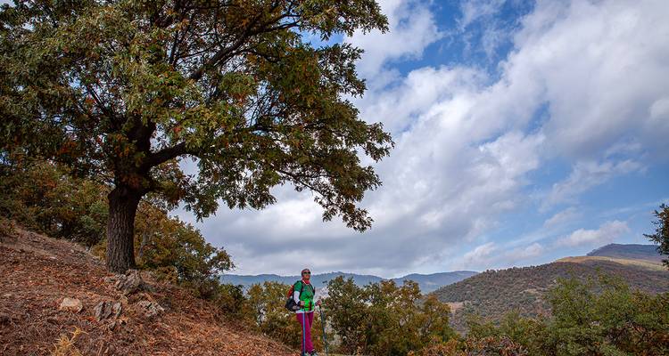 La Ruta del Patrimonio de Efeler - FONTE TURIZM 1