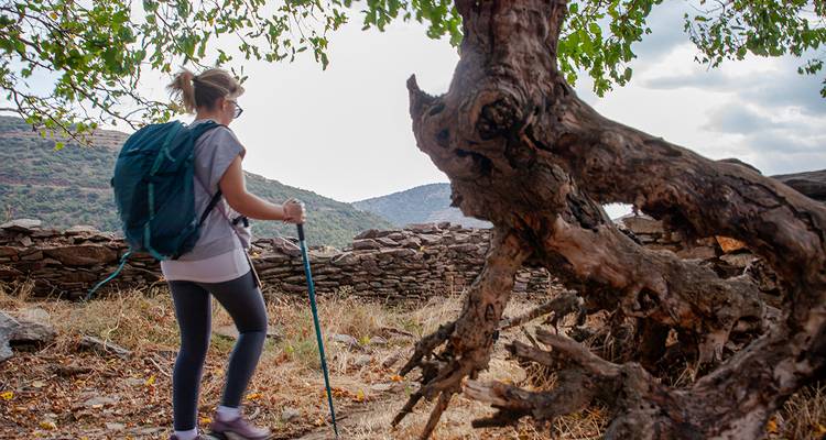 La Ruta del Patrimonio de Efeler - FONTE TURIZM 2