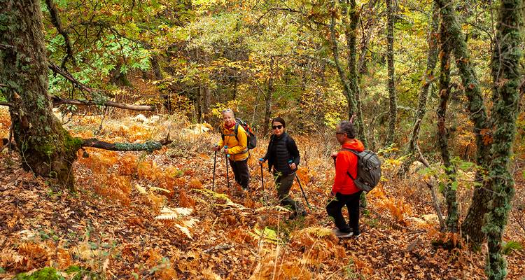 La Ruta del Patrimonio de Efeler - FONTE TURIZM 6
