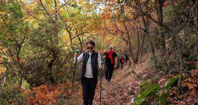 La Ruta del Patrimonio de Efeler - FONTE TURIZM 7