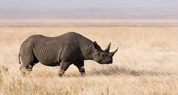 4 días en cómodo alojamiento -Circuito privado - Lights on Africa Destinations & Safaris 1