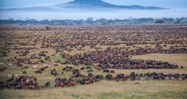 4 días en cómodo alojamiento -Circuito privado - Lights on Africa Destinations & Safaris 8