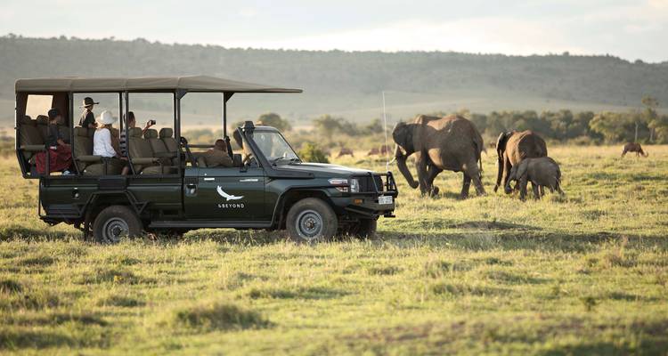 De Ciudad del Cabo a Kruger - Vuelo Vino, Maravillas y Vida Salvaje 10 Días - T.S TOURS 1