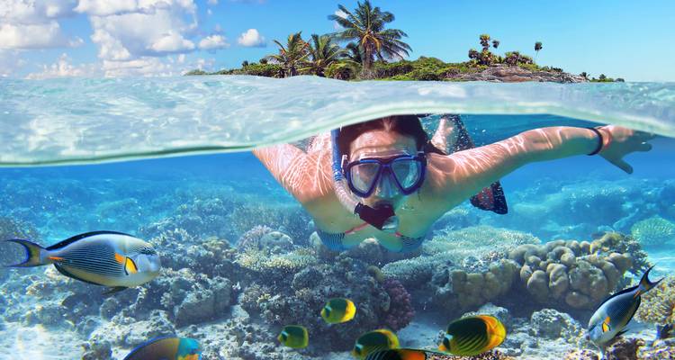 Person snorkeling in clear waters with colorful fish.