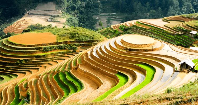 Visite de 4 jours des rizières en terrasses de Mu Cang Chai - Maika Tours 6