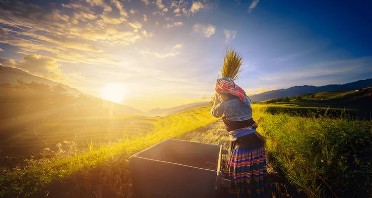 Visite de 4 jours des rizières en terrasses de Mu Cang Chai - Maika Tours 7