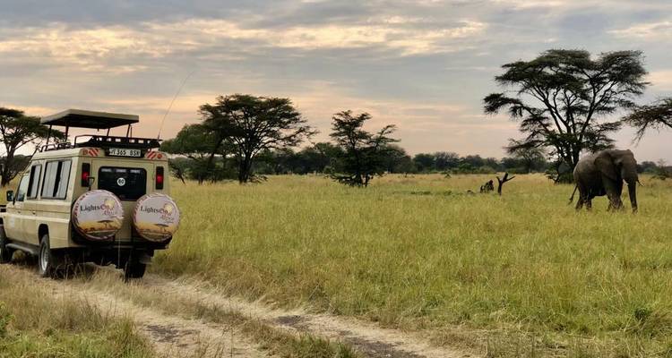 Ein Safari-Fahrzeug, das durch Grasland fährt, mit Elefanten und Akazienbäumen im Hintergrund.