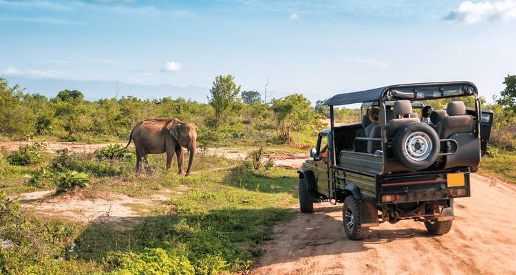 Circuito Clásico por Srilanka 7 noches y 8 días - Relax Getaways Pvt. Ltd 4