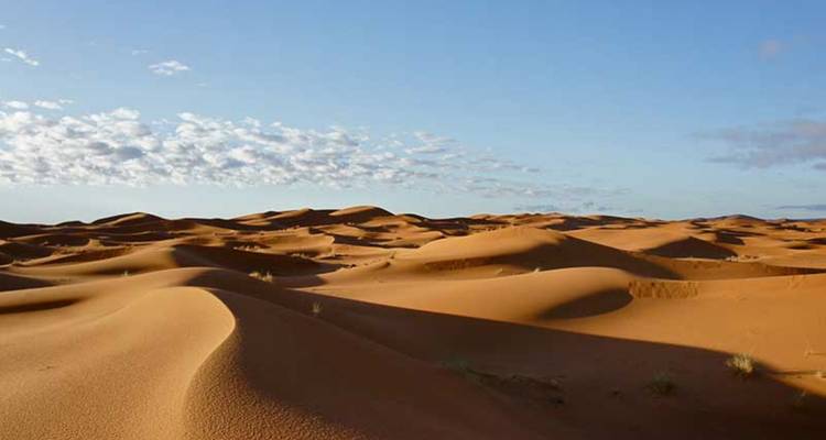 Circuito de 9 días por Marruecos, de Agadir a Casablanca pasando por el Sáhara - Tilila Trips 1