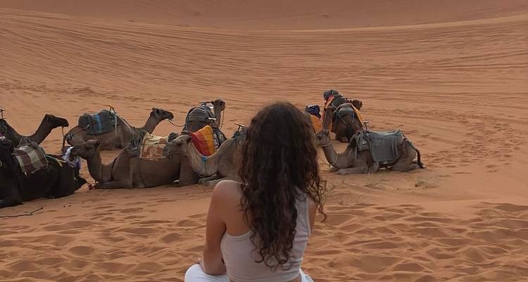 De Fez a Marrakech: Excursión Privada de 4 Días por el Desierto del Sáhara - Morocco Flawless Travels 4