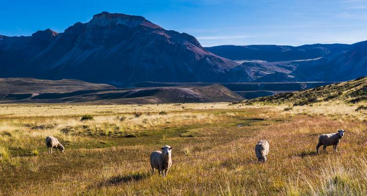 Escapade de 3 jours à El Calafate avec billet d'avion en option au départ de Buenos Aires - Signature DMC 7