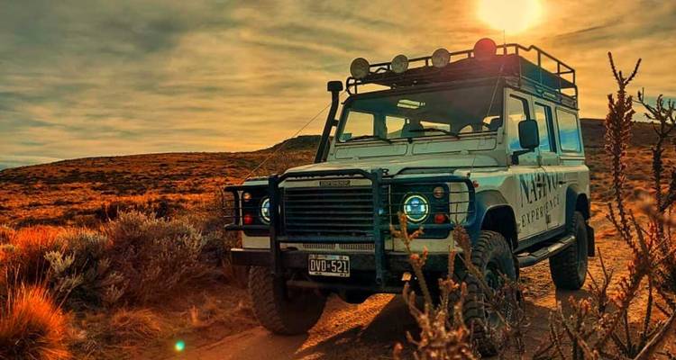Escapade de 3 jours à El Calafate avec billet d'avion en option au départ de Buenos Aires - Signature DMC 8