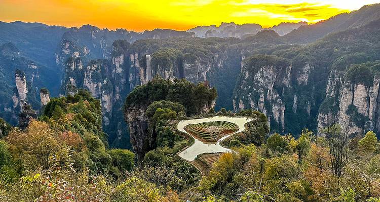 Zhangjiajie bergen bij zonsondergang met weelderige vegetatie.