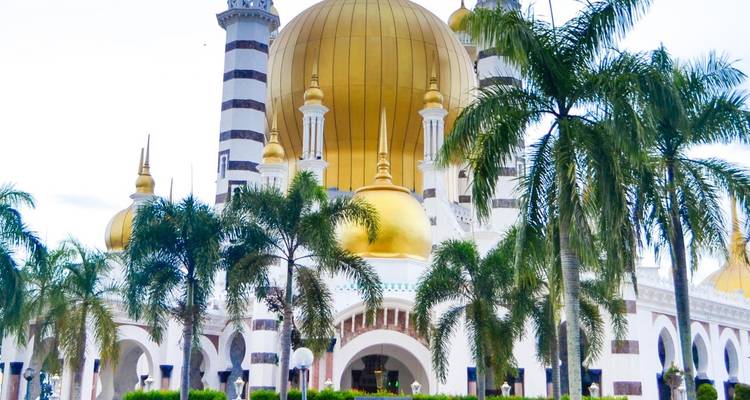 Een prachtige moskee met gouden koepels omringd door palmbomen.