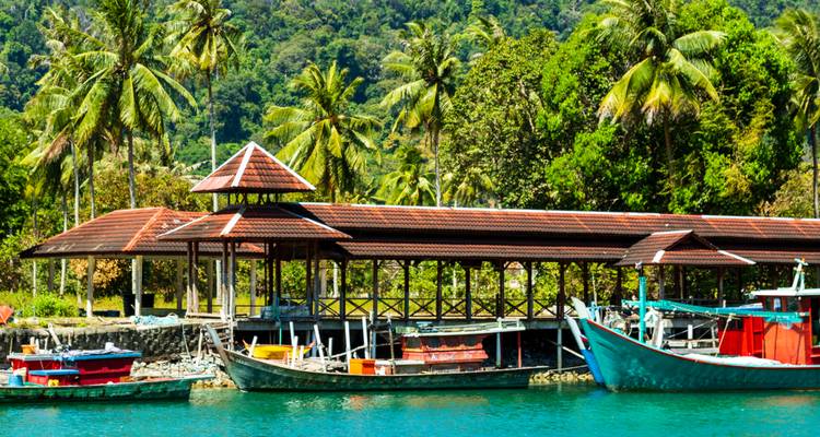 Tropische scène met boten aan een steiger en palmbomen op de achtergrond.