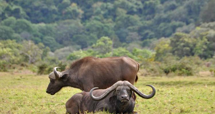 Safari de Aventura Asequible de 10 Días - Lights on Africa Destinations & Safaris 3