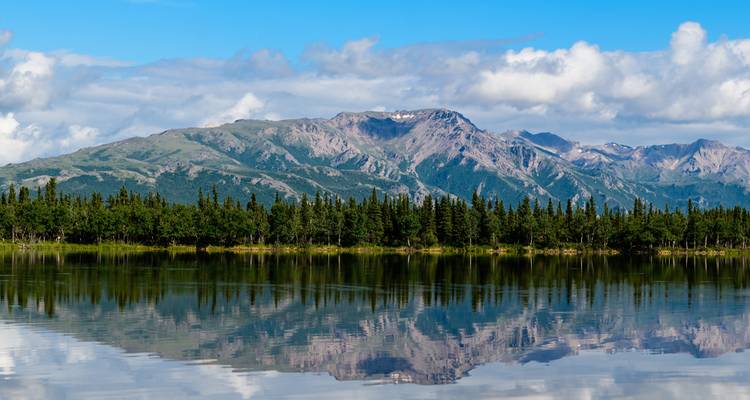 Alaska : La dernière frontière de l'Amérique (de Fairbanks, AK à Anchorage, AK) - Collette 5