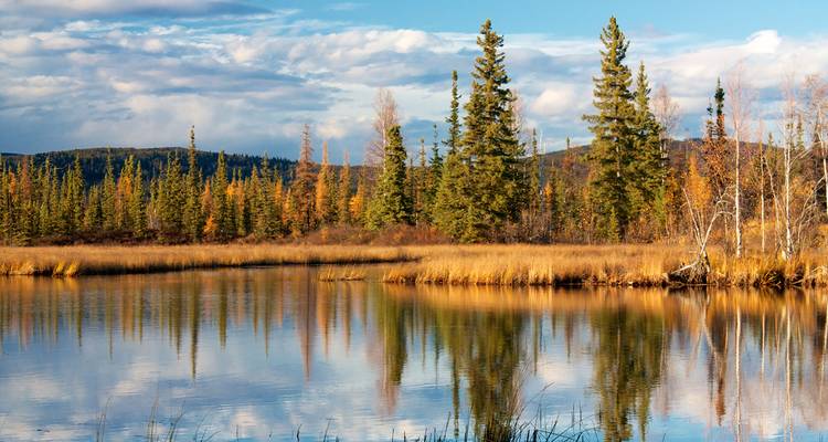 Alaska : La dernière frontière de l'Amérique (de Fairbanks, AK à Anchorage, AK) - Collette 2