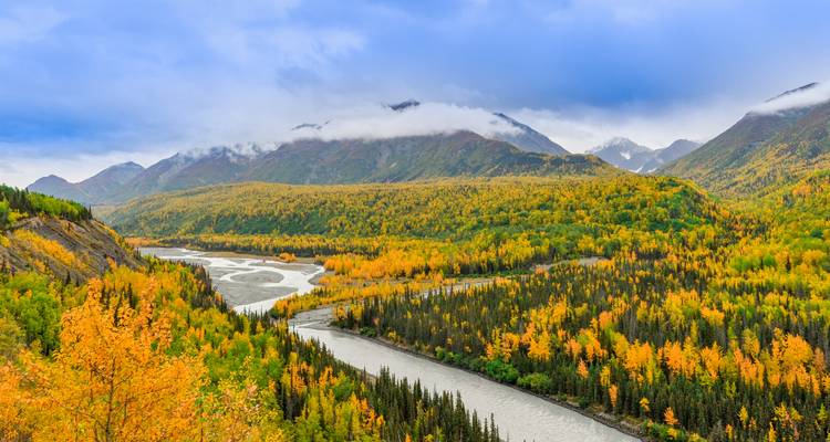 Alaska : La dernière frontière de l'Amérique (de Fairbanks, AK à Anchorage, AK) - Collette 3