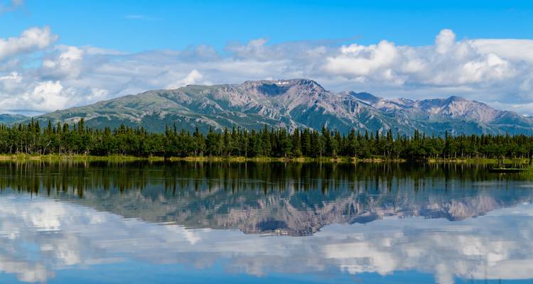 Alaska : La dernière frontière de l'Amérique (de Fairbanks, AK à Anchorage, AK) - Collette 6