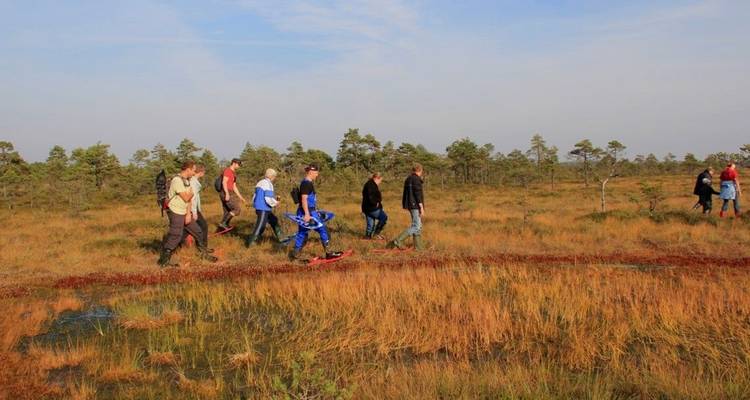 Rutas de osos y festín de bayas en el salvaje norte de Estonia - DIAMIR Erlebnisreisen 1