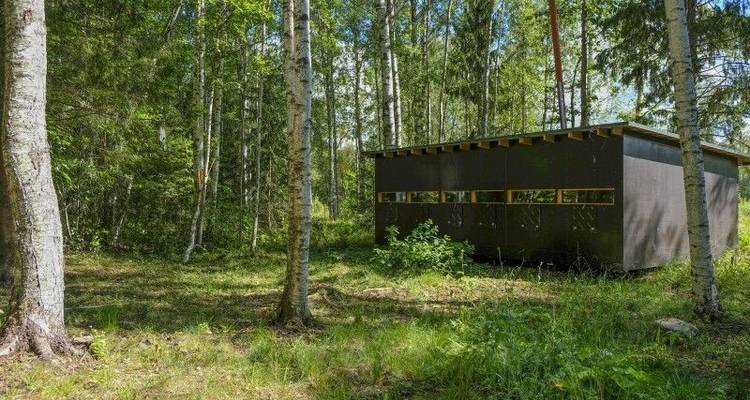 Rutas de osos y festín de bayas en el salvaje norte de Estonia - DIAMIR Erlebnisreisen 2