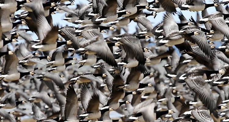 Rutas de osos y festín de bayas en el salvaje norte de Estonia - DIAMIR Erlebnisreisen 3