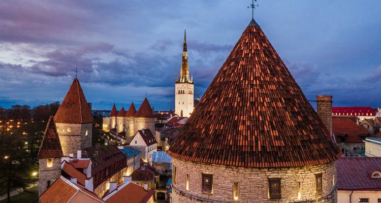 Rutas de osos y festín de bayas en el salvaje norte de Estonia - DIAMIR Erlebnisreisen 10