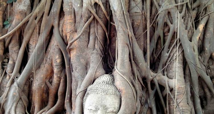 Thailand - On the Trail of the Country and its People - MEIERS WELTREISEN 5