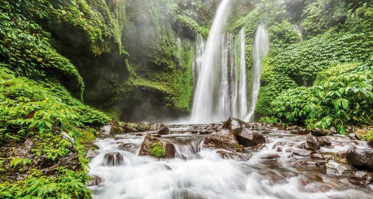 Waterfall surrounded by dense green forest.